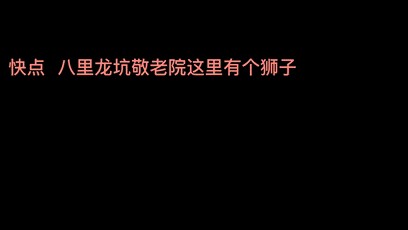 十十？这里有一只狮子！比狼狗还大！它还向我摇尾巴…